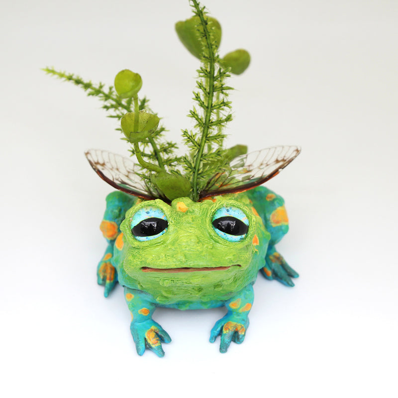 Toabias the Faerie Toad