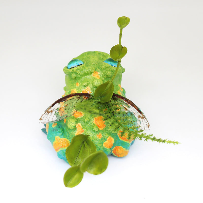 Toabias the Faerie Toad