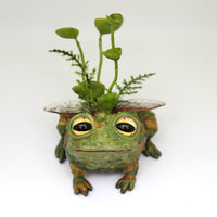 Toaby the Faerie Toad