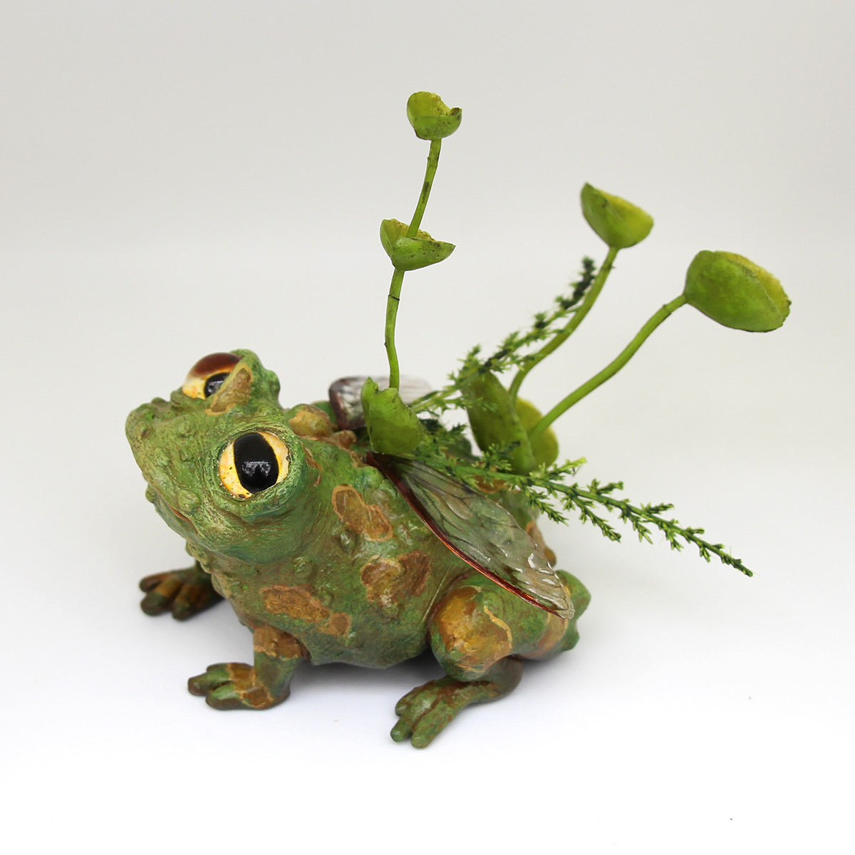 Toaby the Faerie Toad